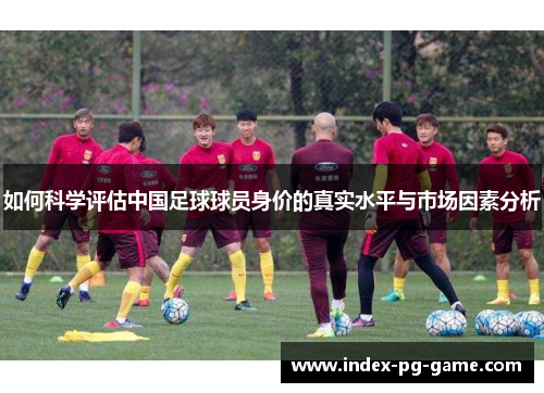 如何科学评估中国足球球员身价的真实水平与市场因素分析