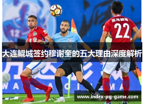 大连鲲城签约穆谢奎的五大理由深度解析