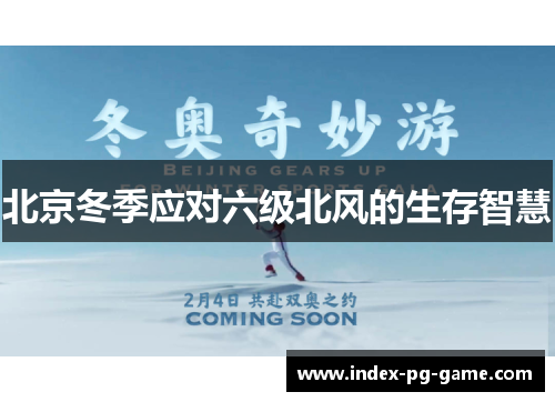 北京冬季应对六级北风的生存智慧