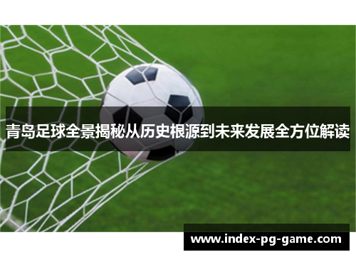 青岛足球全景揭秘从历史根源到未来发展全方位解读