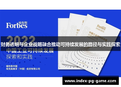 财务透明与企业战略融合推动可持续发展的路径与实践探索