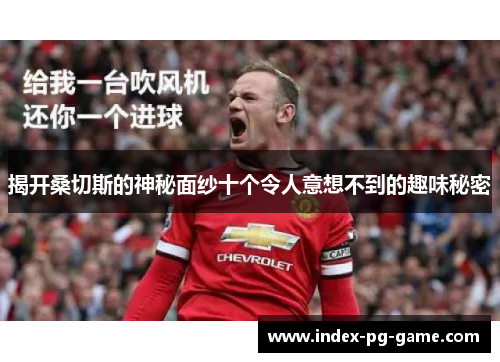 揭开桑切斯的神秘面纱十个令人意想不到的趣味秘密