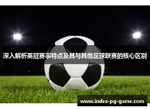 深入解析英冠赛事特点及其与其他足球联赛的核心区别