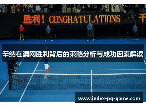 辛纳在澳网胜利背后的策略分析与成功因素解读