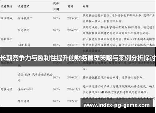 长期竞争力与盈利性提升的财务管理策略与案例分析探讨