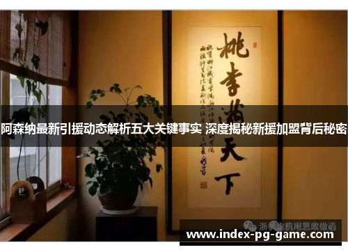 阿森纳最新引援动态解析五大关键事实 深度揭秘新援加盟背后秘密