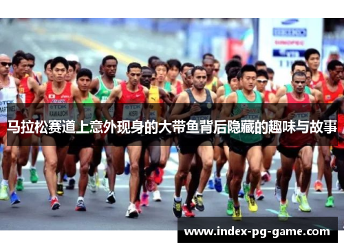 马拉松赛道上意外现身的大带鱼背后隐藏的趣味与故事