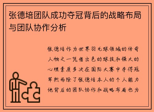 张德培团队成功夺冠背后的战略布局与团队协作分析